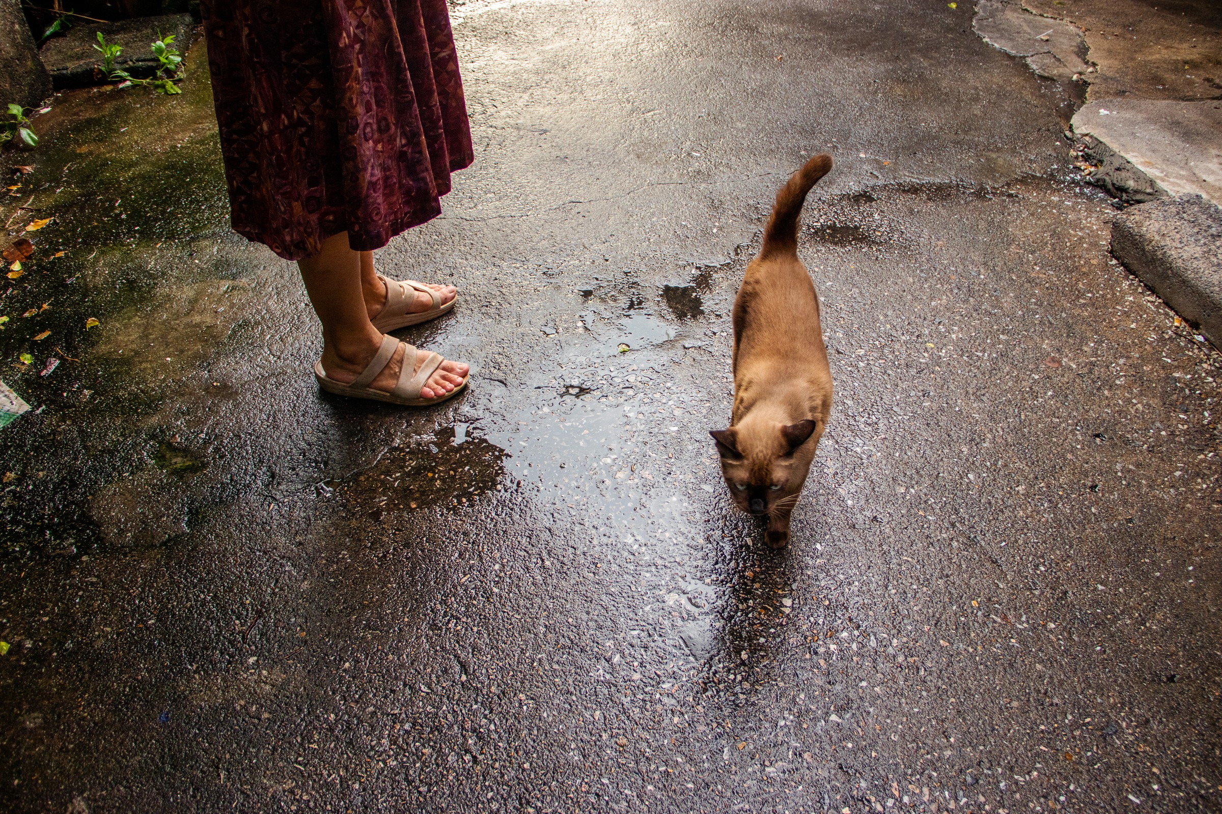 Nang Loeng community — photograph 8